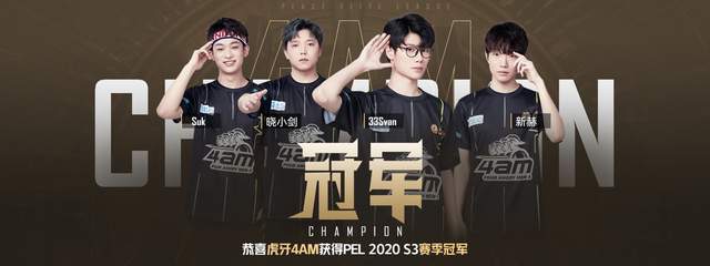 杨放入一支